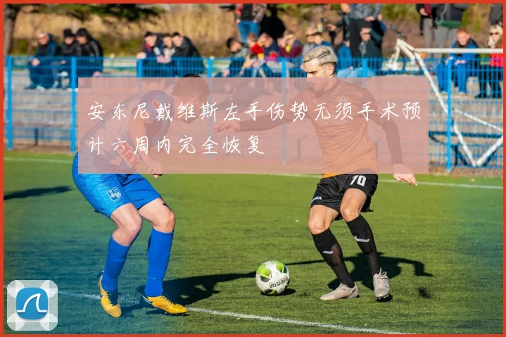 安东尼戴维斯左手伤势无须手术预计六周内完全恢复