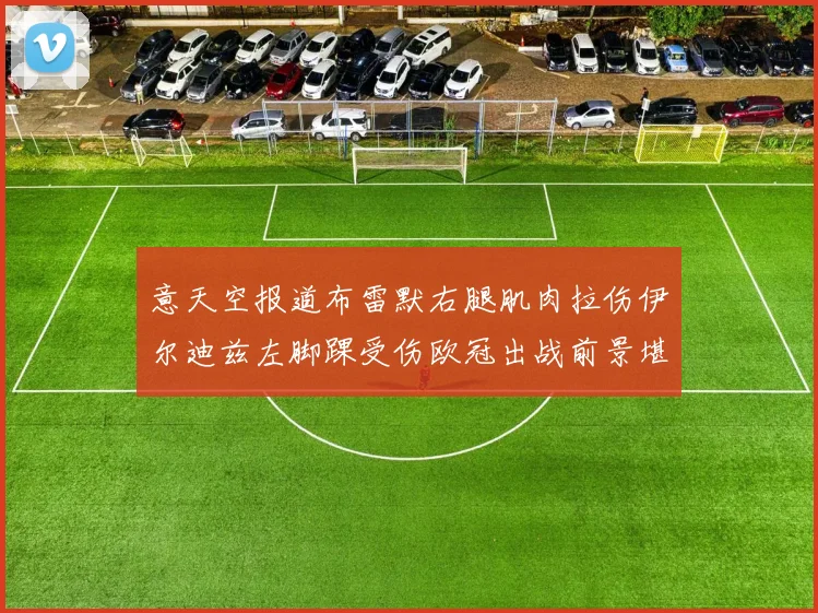 意天空报道布雷默右腿肌肉拉伤伊尔迪兹左脚踝受伤欧冠出战前景堪忧