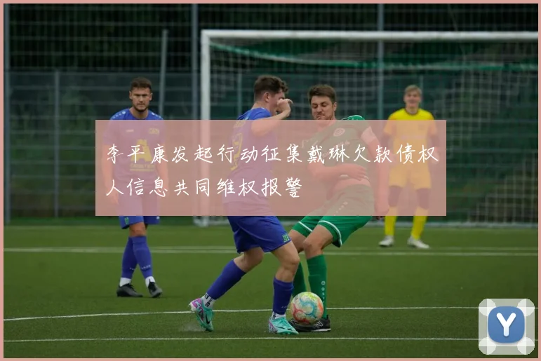 李平康发起行动征集戴琳欠款债权人信息共同维权报警